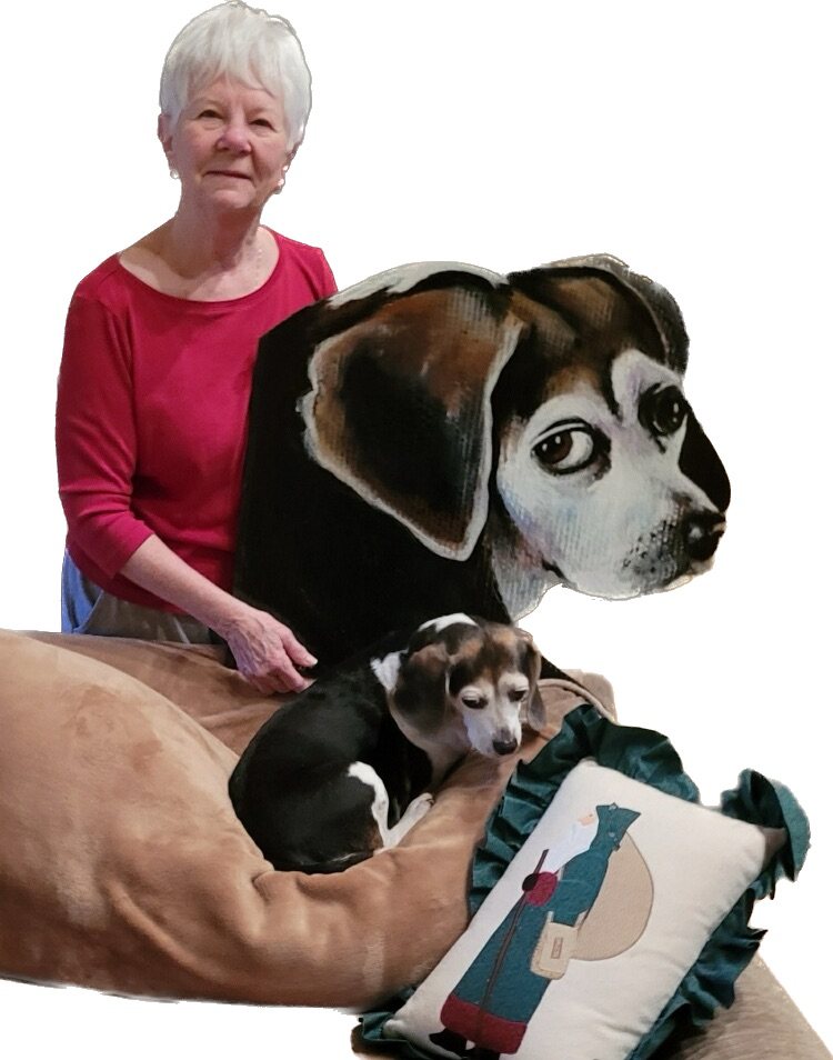 Hand-cut and hand-painted side profile portrait of Belle, a brown, black and white beagle with floppy ears, shown with the owner and the real Belle on a couch